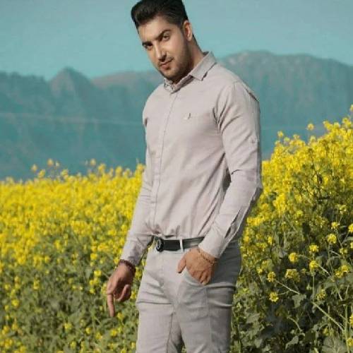 آرمین سبزواری دایه